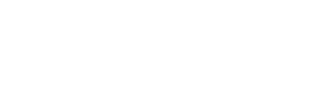 sports surfaces logo